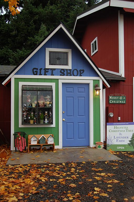 The gift shop building at the farm