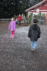 Artificial snow at the farm